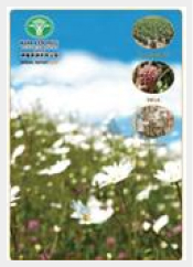 Annual Report Year 2007 Annual Report Year 2007