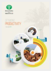 Annual Report Year 2019 Annual Report Year 2019